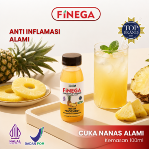 Finega Cuka Nanas 100ml (Botol Plastik)